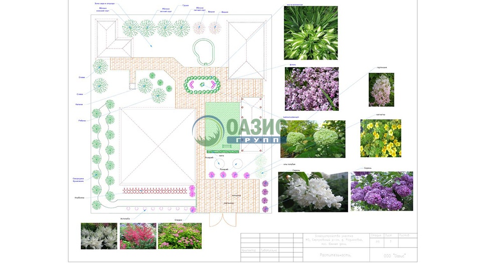 Пример 30. Разработка благоустройства участка в Серпуховском районе